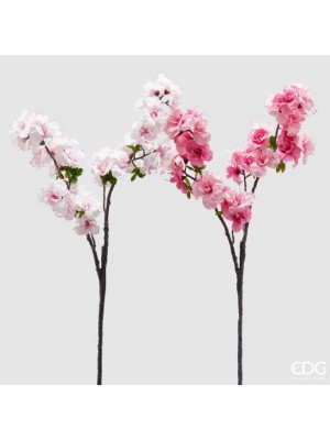 EDG Sakura Διακοσμητικό Κλαδί Ροδακινιά-Βερικοκιά Διακοσμητικά Φυτά / Κλαδιά