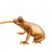 qeeboo Hungry Frog Lamp Amber Επιτραπέζιο/Επιτοίχιο Φωτιστικό Βάτραχος Φωτιστικά