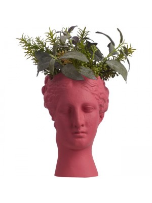Hygeia Head Vase Rosewood Statues