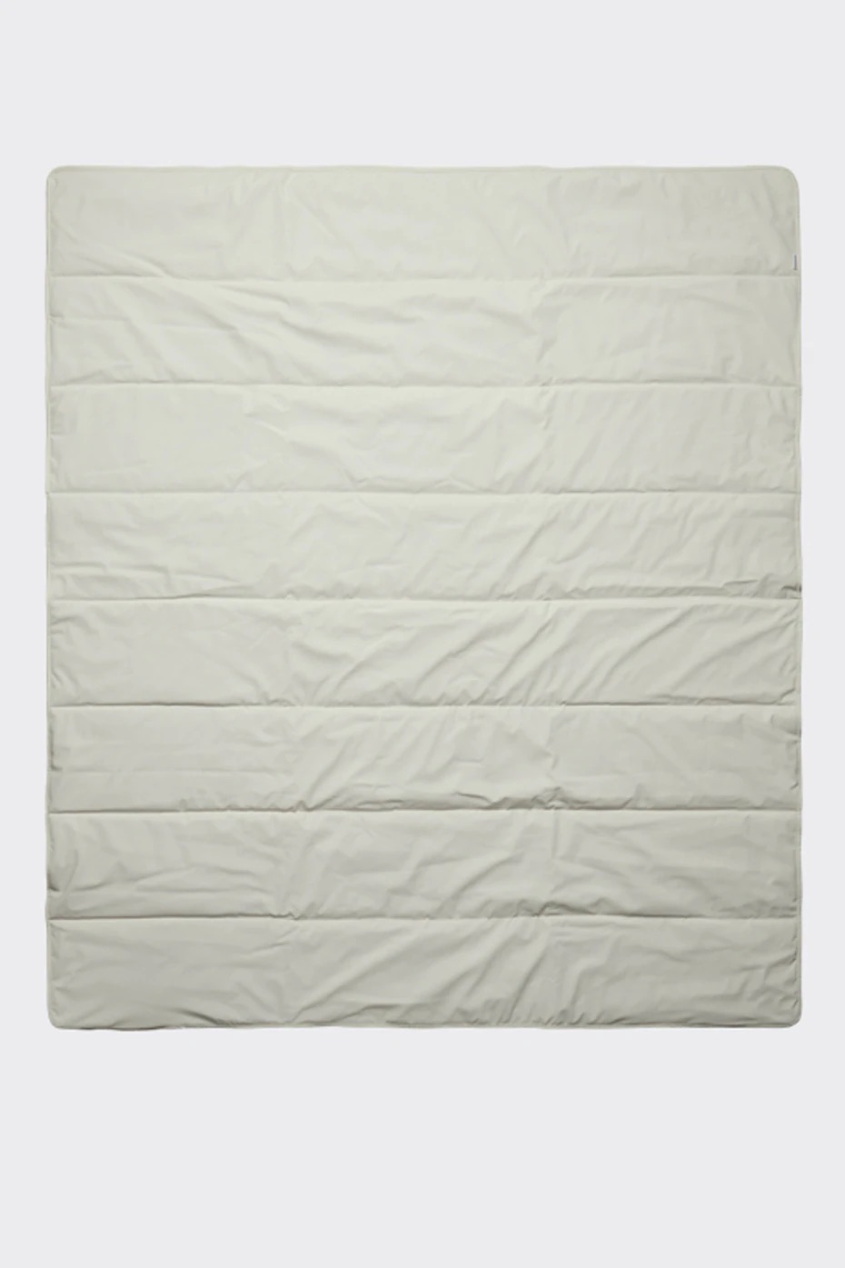 Blanket Fossil