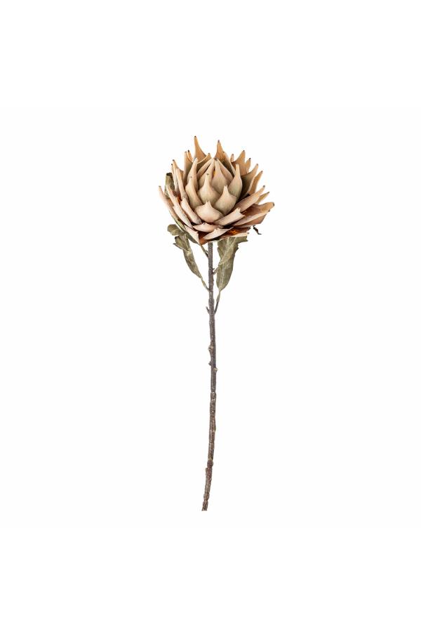 Bloomingville - Protea Stem, Beige, Artificial Flowers